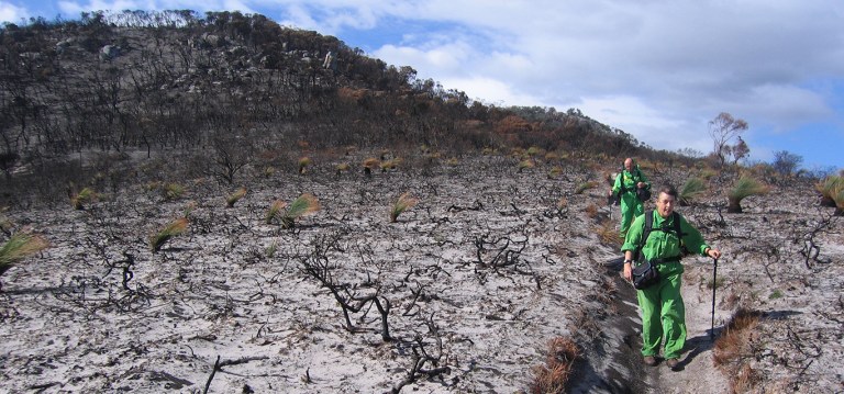 Prom-Burn-09_Credit-Phil-Ingamells_BANNER