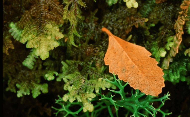 Screenshot 2023-12-17 at 9.21.30 pm