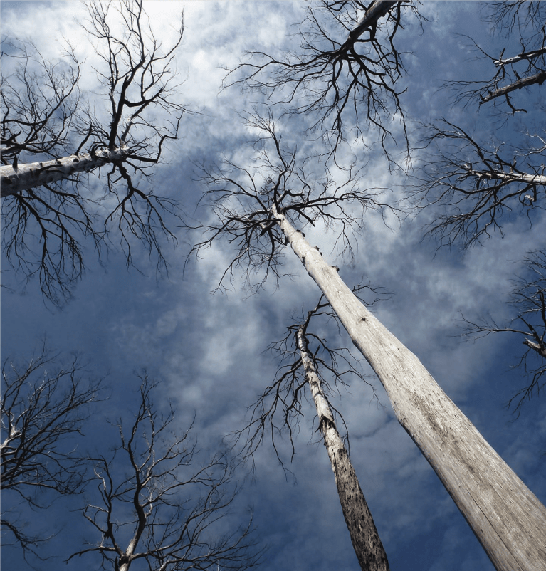 Screenshot 2023-12-17 at 9.24.06 pm