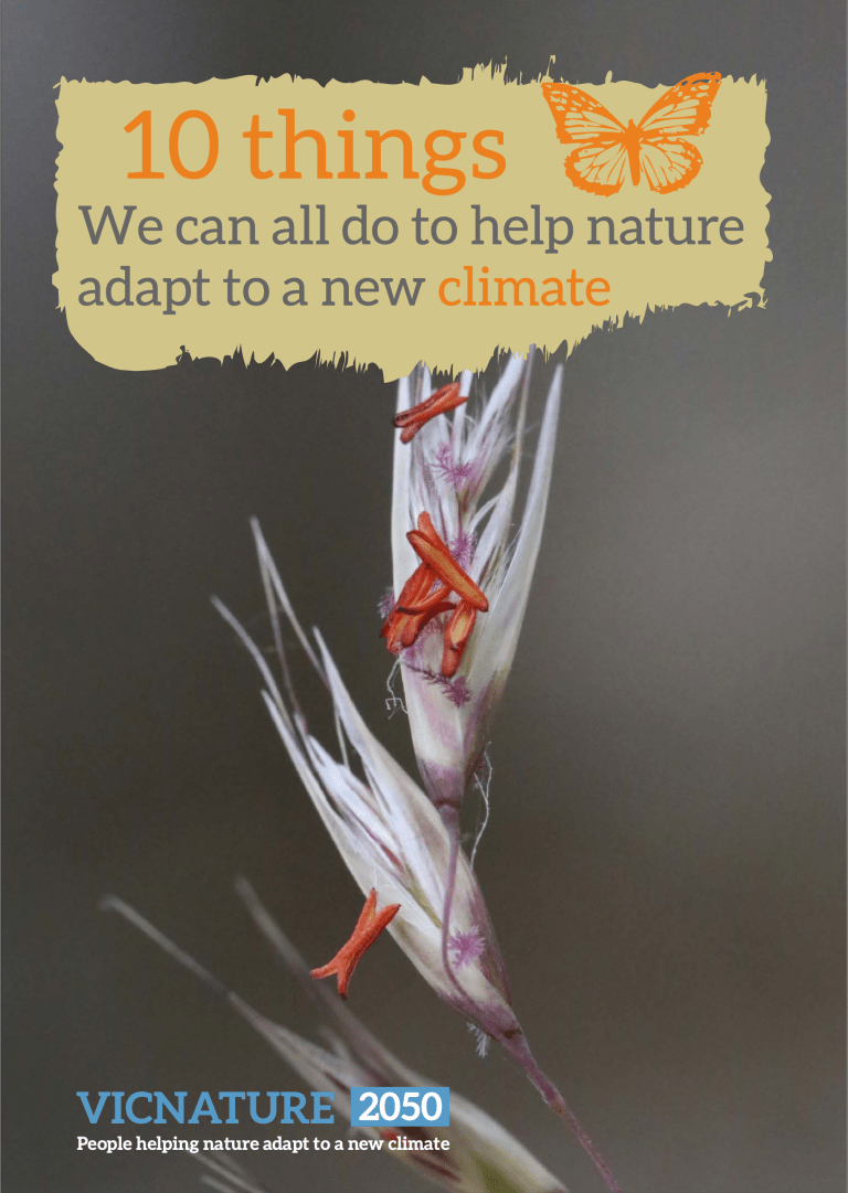 Screenshot 2023-12-17 at 9.28.40 pm