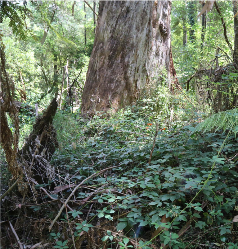 Screenshot 2023-12-17 at 9.29.00 pm